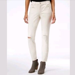 Style & Co. Size 8 Ripped Vintage Pearl Ivory Colo